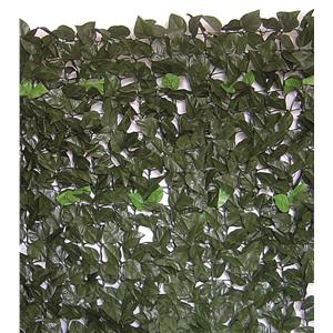 SIEPE EVERGREEN BRIXO LAURO 1X20MT